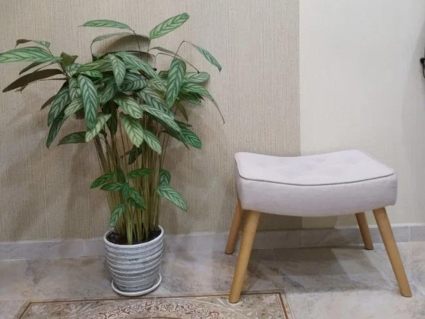 Мистер Слип Пуф Лаунж